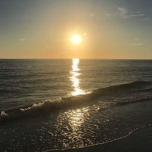 Meet your Posher, Anne